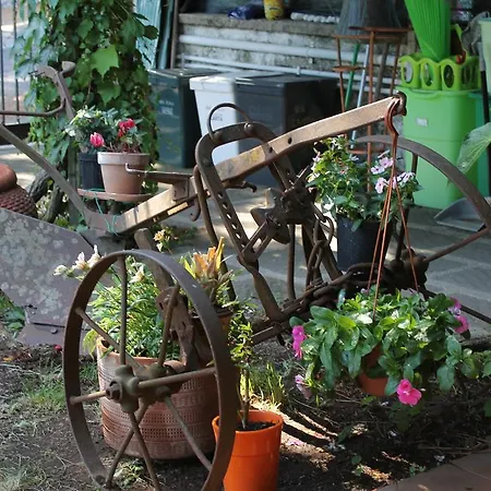 B&B Il Castagno 만지아나